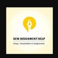 New Assignment Help UK