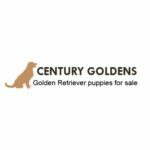 centurygoldens230